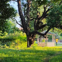 Park In Company Garden