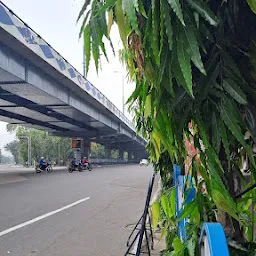 Park Street Flyover