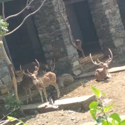 Parking, Sajjangarh Biological Park