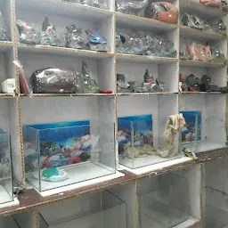 Parmar fish aquarium