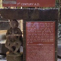 Parshurameshwar Temple