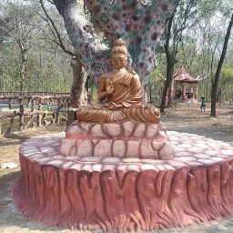 Paryavaran Park-Raigarh