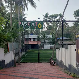 Pascat 6 Football turf