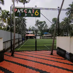 Pascat 6 Football turf