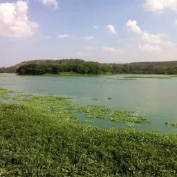 Pashan Lake