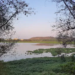 Pashan Lake Island