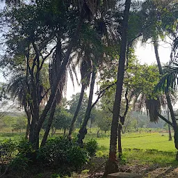 Pashan Road Garden