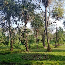 Pashan Road Garden