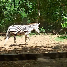 Patna Zoo