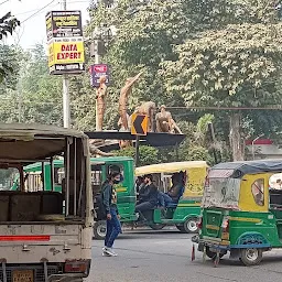 Patrika Chauraha Bus Stop