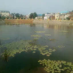 Pattaravakkam pond