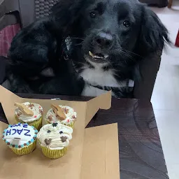 Pawfect Kitchen - A Pet Bakery (Thane)