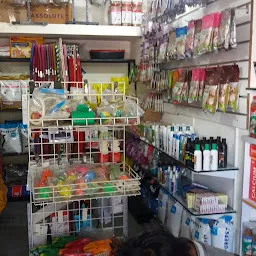 Paws Pets | Best Pet Grooming Services in Vadodara | Dog Grooming | Car Grooming | Pet Shop