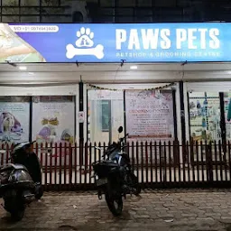 Paws Pets | Best Pet Grooming Services in Vadodara | Dog Grooming | Car Grooming | Pet Shop