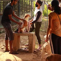 PAWS Thrissur Animal Shelter