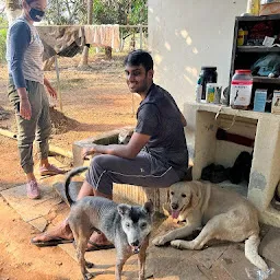 PAWS Thrissur Animal Shelter