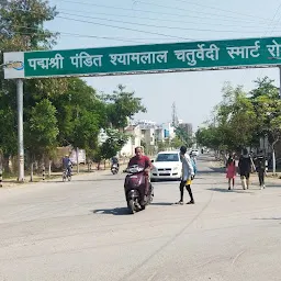 पद्मश्री श्यामलाल चतुर्वेदी मार्ग द्वार