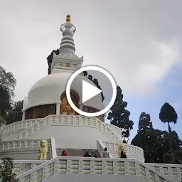 Peace Pagoda, Darjeeling