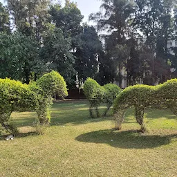 Peacock Park