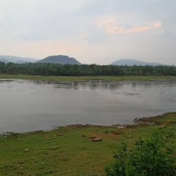 Peddipalem Village View