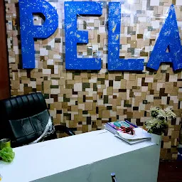 PELA Academy (BEST IELTS CENTRE IN LUDHIANA)