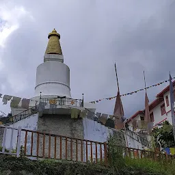 Pema Woeling Nunnery with Yeshe Dorje Stupa