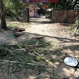 Perasseril Sree Bhadrakali Devi Temple