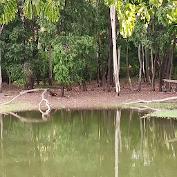 Percolation Lake