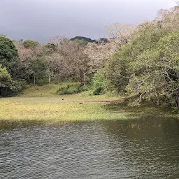 Periyar National Park