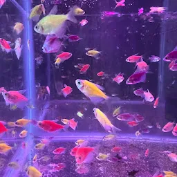 Pet & Aquarium World