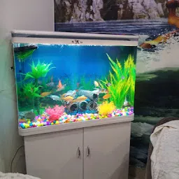 Pet king Fish Aquarium
