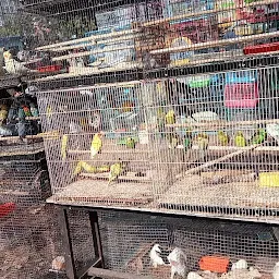 Pet Market