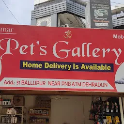 Pet's gallery , Dehradun