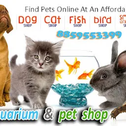 pet shop & fish Aquarium uttrakhand