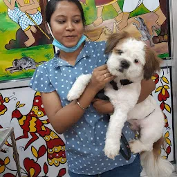 PET SO MUCH-Dog grooming |Dog spa|veterinarian doctor |Pet shop in jamshedpur