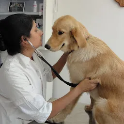 PetCetera Small Animal Clinic- Dr. Anjali Dave