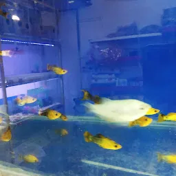 Petland Aquariaum and Pet shop