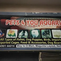 Pets 4 you aquarium