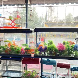 PETS MAGIC AQUARIUM & PET SHOP/ BEST PETS SHOP IN PCMC/ BEST AQUARIUM SHOP IN PCMC