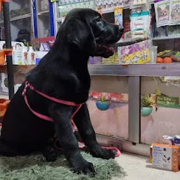 Top Pet Shops in Bhagalpur - Best Pet Store near me - Justdial