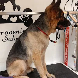 Pets & Ponds, pets grooming salon