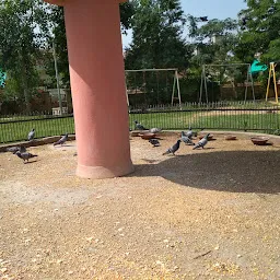 Pigeon Park