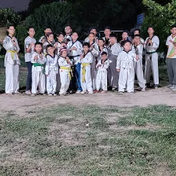 Pioneer Martial Arts, Taekwondo