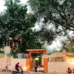 Pipal Wala Shiva Temple