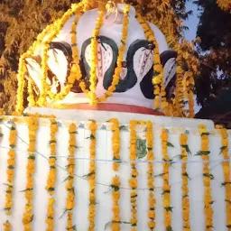 Pipleshwar Mahadev Mandir