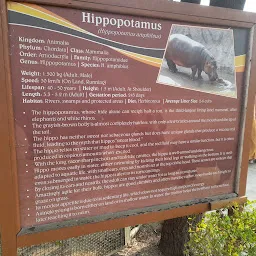 Pipli Mini Zoo