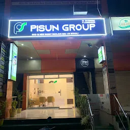 PISUN GROUP