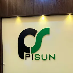 PISUN GROUP