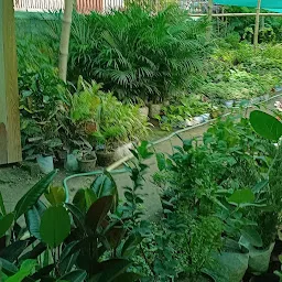 Piyali Nursery