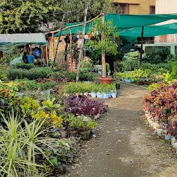 Piyali Nursery